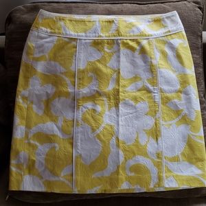 Ann Taylor skirt